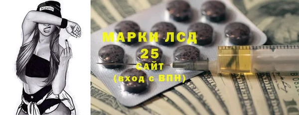прущие грибы Белокуриха