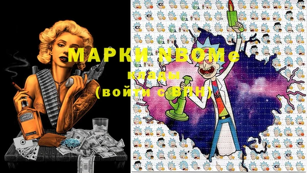 индика Беломорск
