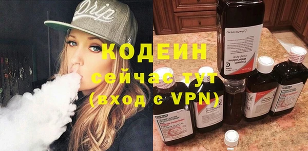 индика Беломорск