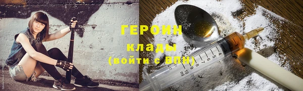 индика Беломорск