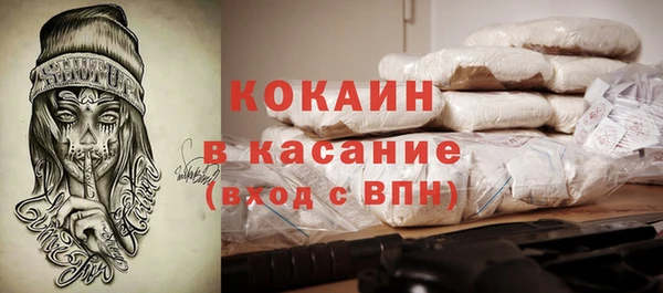 прущие грибы Белокуриха