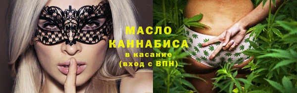индика Беломорск