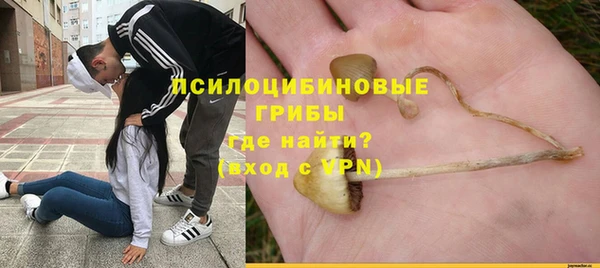 крисы Белоозёрский