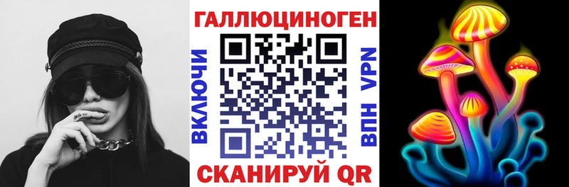 Псилоцибиновые грибы Psilocybe  Гаврилов Посад 